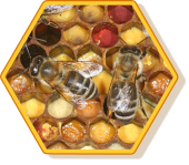 Pollenwabe mit Bienen