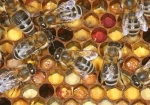 Bild: 109: Buntes Bienenbrot vom 2010-05-08
